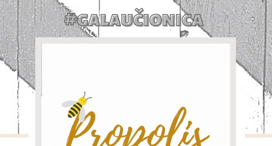 Propolis moćan sastojak za jačanje imuniteta